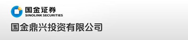 国金鼎兴投资有限公司（240亿）